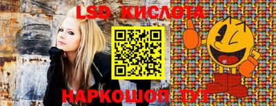 a pvp Славянск-на-Кубани